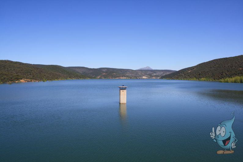 Beleña recurso (17-05-10)